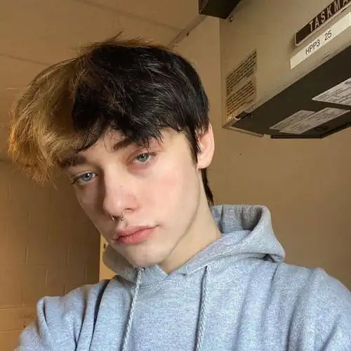 mèo con